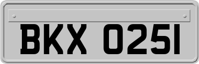 BKX0251