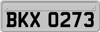 BKX0273