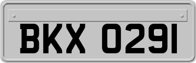BKX0291