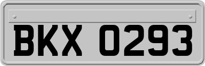 BKX0293