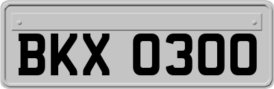 BKX0300