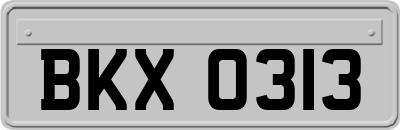 BKX0313