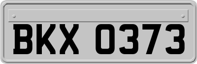 BKX0373