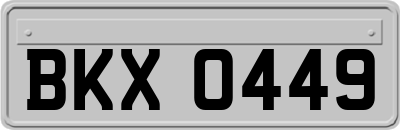 BKX0449