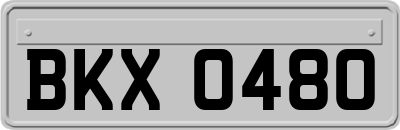 BKX0480