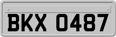 BKX0487