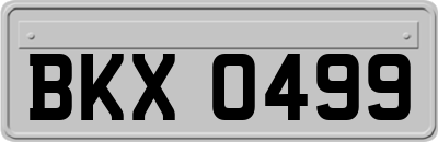 BKX0499
