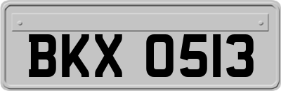 BKX0513