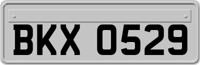 BKX0529