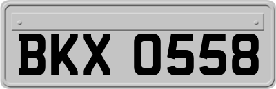 BKX0558