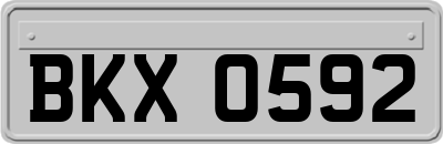 BKX0592