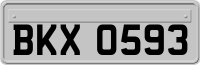 BKX0593