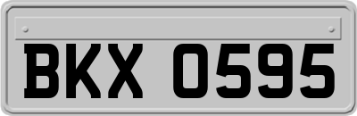 BKX0595