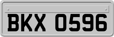 BKX0596