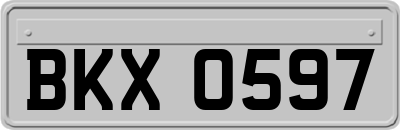 BKX0597
