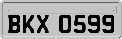 BKX0599