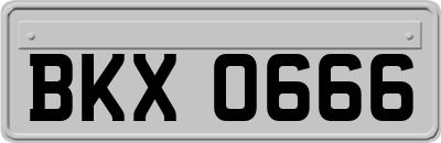 BKX0666