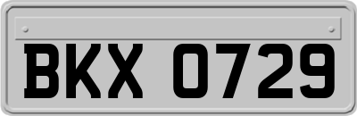 BKX0729