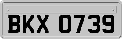 BKX0739