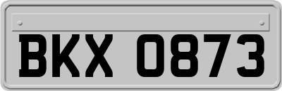 BKX0873