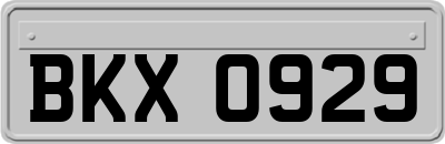BKX0929