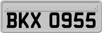 BKX0955