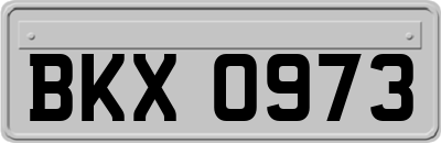 BKX0973