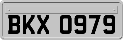 BKX0979
