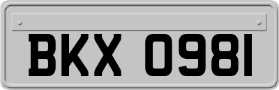 BKX0981