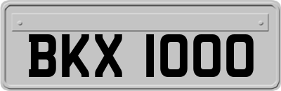BKX1000