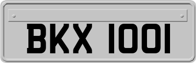 BKX1001