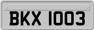 BKX1003