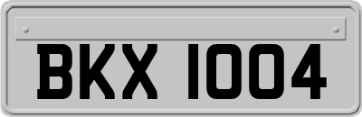 BKX1004