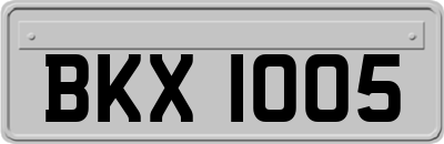 BKX1005