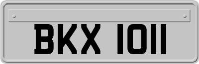BKX1011