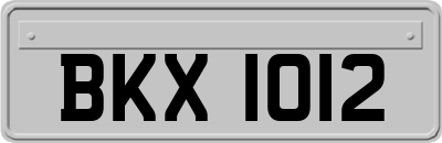 BKX1012