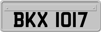BKX1017