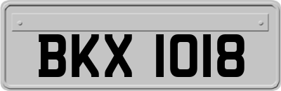 BKX1018