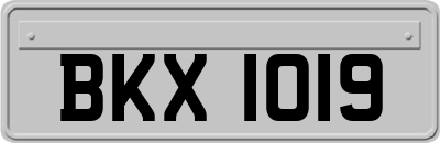 BKX1019