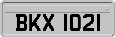 BKX1021