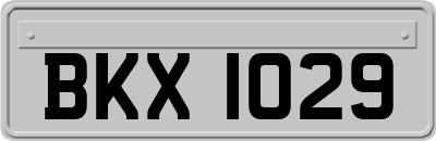 BKX1029