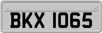 BKX1065