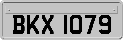 BKX1079