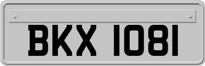 BKX1081