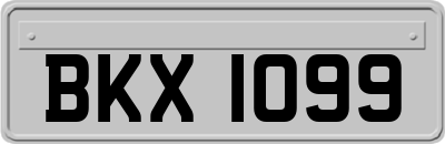 BKX1099