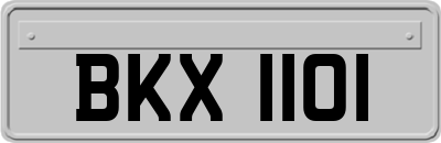 BKX1101