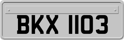 BKX1103