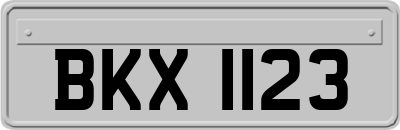 BKX1123
