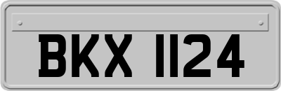 BKX1124