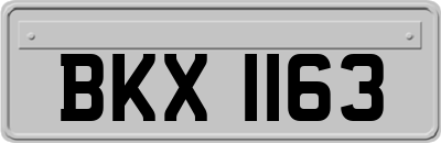 BKX1163